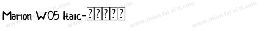 Marion W05 Italic字体转换